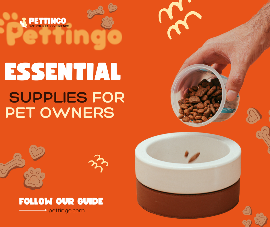 Essential Supplies for  Pet Owners