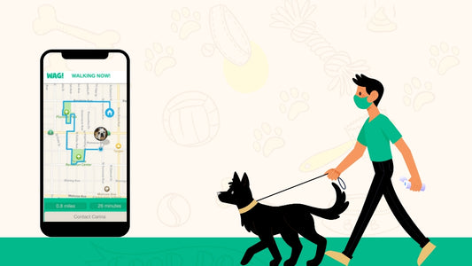 The Rise of Dog Sitter Apps: How to Get Paid to Walk Dogs